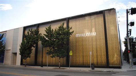 miu miu dallas